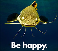 Be Happy