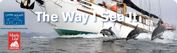 The Way I Sea It