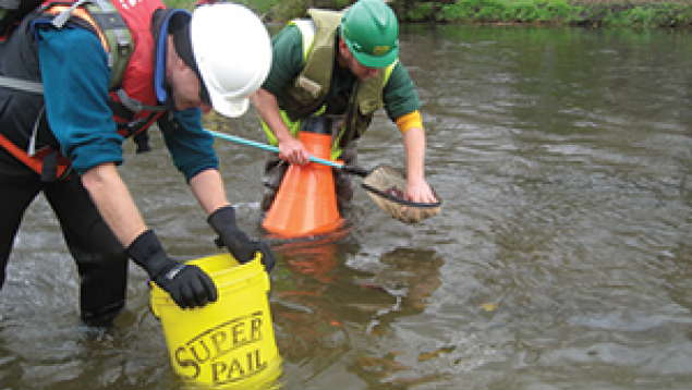 Scientists assessing the damage done to freshwater mussels in the Kalamazoo River. Photo: NOAA Scientists assessing the damage done to freshwater mussels in the Kalamazoo River