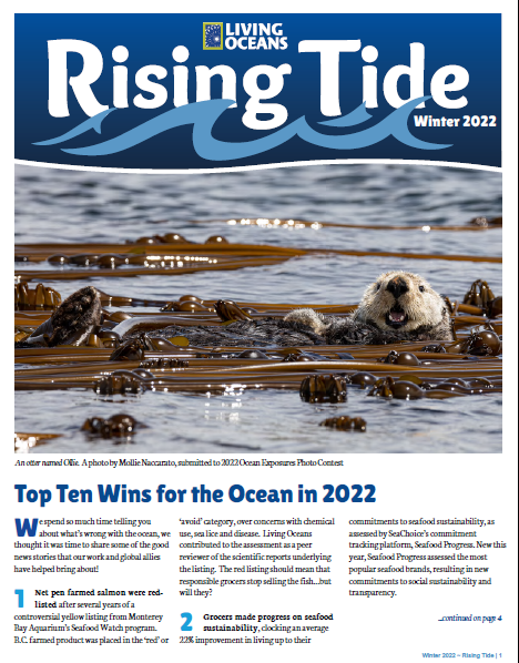 Rising Tide Winter 2022