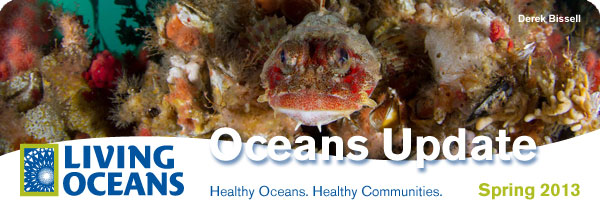 Oceans Update