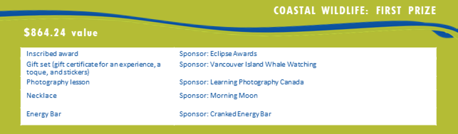 Coastal Wildlife first prize package