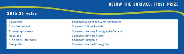 Below the surface first prize package
