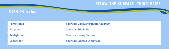 Below the surface third prize package