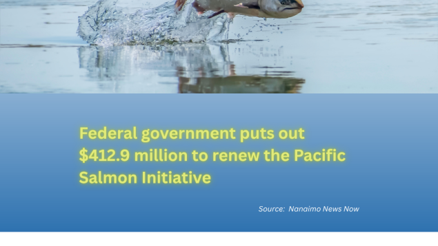 Photo of leaping salmon and title underneath Federal government puts out $412.9 million to renew the Pacific Salmon Initiative Photo of leaping salmon and title underneath Federal government puts out $412.9 million to renew the Pacific Salmon Initiative
