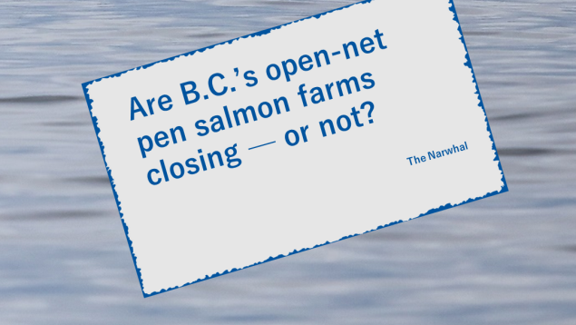 Are B.C.’s open-net pen salmon farms closing — or not? News flash: Are B.C.’s open-net pen salmon farms closing — or not?