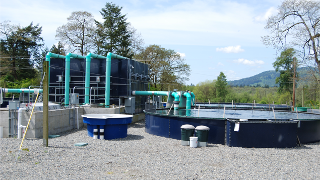 L'élevage du saumon sur terre ferme à circuit fermé peut grandement réduire ou éliminer les risques environnementaux associés avec l'aquaculture et est plus compatible avec les principles biologiques. Toutefois, son utilisation n'est pas exigée sous la nouvelle norme biologique. Photo courtoisie de Corey Peet Land-based closed containment tanks