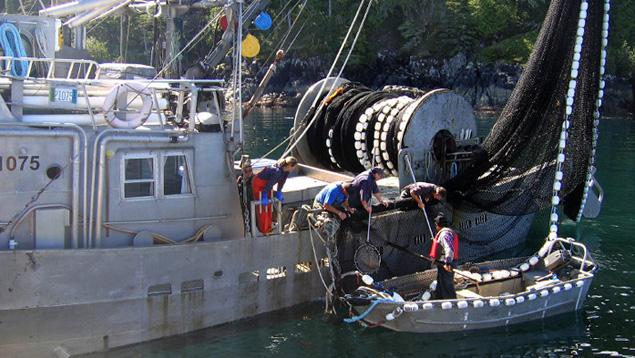 Fishing boat