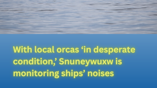 orca and calf swim in ocean title With locoal orcase in desperate condition Snuneywuxw is monitoting ships' noises photo Christopher Hurst orca and calf swim in ocean title With locoal orcase in desperate condition Snuneywuxw is monitoting ships' noises photo Christopher Hurst