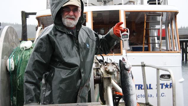 Atlantic salmon caught in Broughton Archipelage