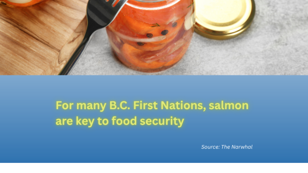 image of canned salmon in a jar with title below For many B.C. First Nations, salmon are key to food security image of canned salmon in a jar with title below For many B.C. First Nations, salmon are key to food security