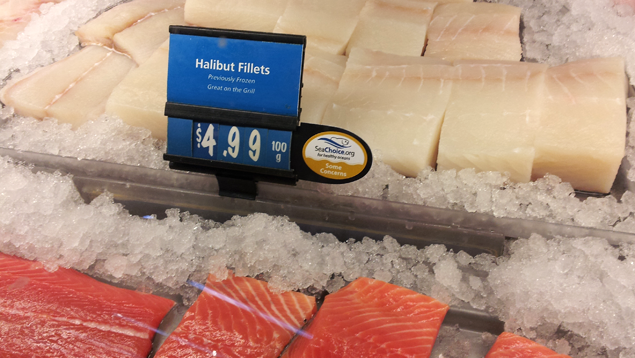 Halibut filets