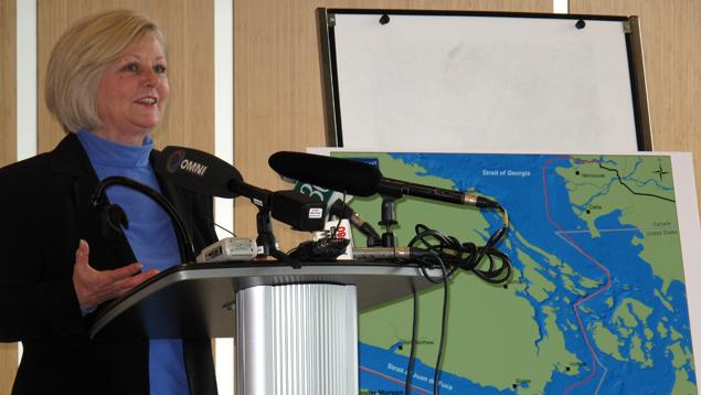 Executive Director Karen Wristen speaking at a media conference. Karen Wristen