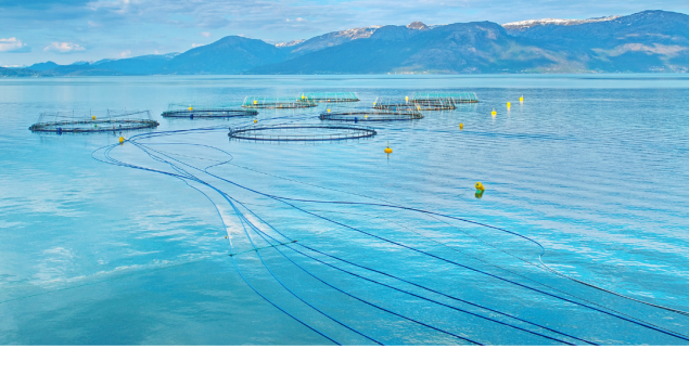 ocean net pen salmon farm in bright blue water with mountains in the background