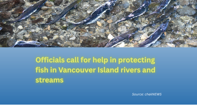 image of salmon in river above and title Officials call for help in protecting fish in Vancouver Island rivers and streams below with LOS logo and catch phrase