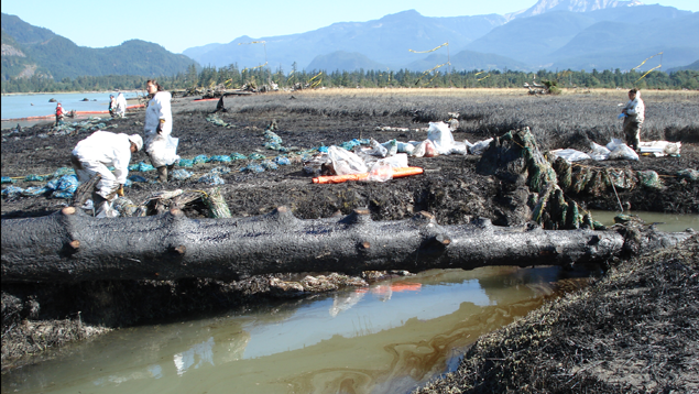 Photo: B.C. Min. of Environment Cleaning spilled oil from a stream