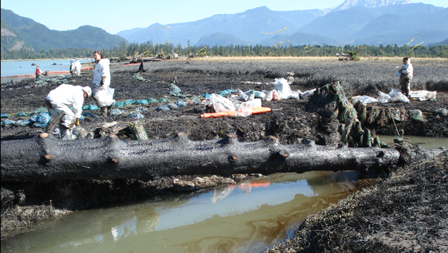 Cleaning spilled oil from a stream