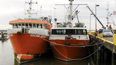 two bottom trawlers