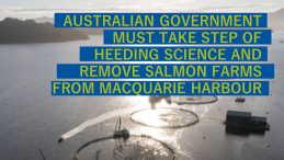 image of salmon farm with title Australian government must take step of heeding science and remove salmon farms from Macquarie Harbour