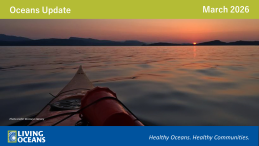 Kayak on the water with a red sunset sky photo credit Bronwyn Harvey