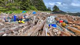 Clear the Coast volunteers gather marine debris on a beach covered in logs