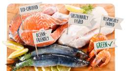 greenwashing of seafood labels and certification