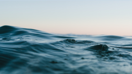 news template with ocean waves