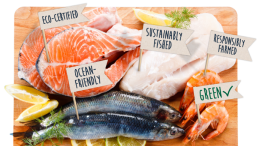 photo of seafood sustainability claims
