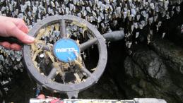 Wheel from skiff