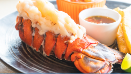 plate with lobster tail and title Researchers find microplastics in the tails of lobsters caught off Nova Scotia