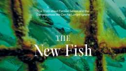 The New Fish book cover