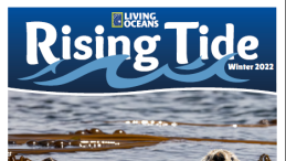 Rising Tide Winter 2022
