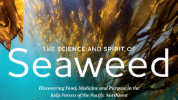 Amanda Swinimer book cover The Science and Spirit of Seaweed