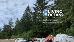 Support Clear the Coast - image of tonnes of marine debris in huge bags strewn across a remote beach