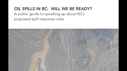 A public guide to speaking up about B.C.'s proposed spill response rules