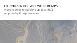 A public guide to speaking up about B.C.'s proposed spill response rules