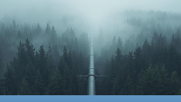 misty forest with pipeline running through it with title ‘There’s no monitoring of earthquakes’: new British Columbia pipeline could spell catastrophe, experts warn
