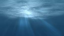 underwater photo