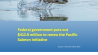 Photo of leaping salmon and title underneath Federal government puts out $412.9 million to renew the Pacific Salmon Initiative