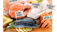 photo of seafood sustainability claims