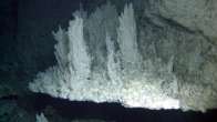 A 5-foot-wide flange on the side of a chimney in the Lost City Field is topped with dendritic carbonate growths that form when mineral-rich vent fluids seep through the flange and come into contact with the cold seawater