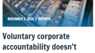 Image of SeaChoice Report on website title Voluntary corporate accountability doesn’t work. Canada needs to mandate it.