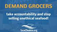 graphic poster with demand grocers take accountability and stop selling unethical seafood  written and seachoice logo