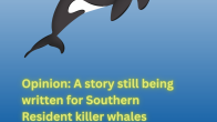 graphic of an orca with title Opinion: A story still being written for Southern Resident killer whales