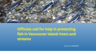 image of salmon in river above and title Officials call for help in protecting fish in Vancouver Island rivers and streams below with LOS logo and catch phrase